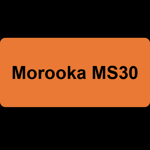 Morooka MS30